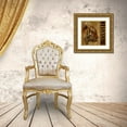 thumbnail image 3 of Pinto, Patricia 20x20 Gold Ornate Wood Framed with Double Matting Museum Art Print Titled - Elegant Safari II - Tiger, 3 of 4