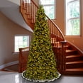 thumbnail image 2 of National Tree Company 10 ft. Pre-Lit Artificial Slim Christmas Tree, Tiffany Fir, Green, Clear Lights, Includes Stand, 2 of 4