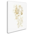 thumbnail image 2 of Trademark Fine Art 'Gilded Botanical VIII' Canvas Art by Wild Apple Portfolio, 2 of 3