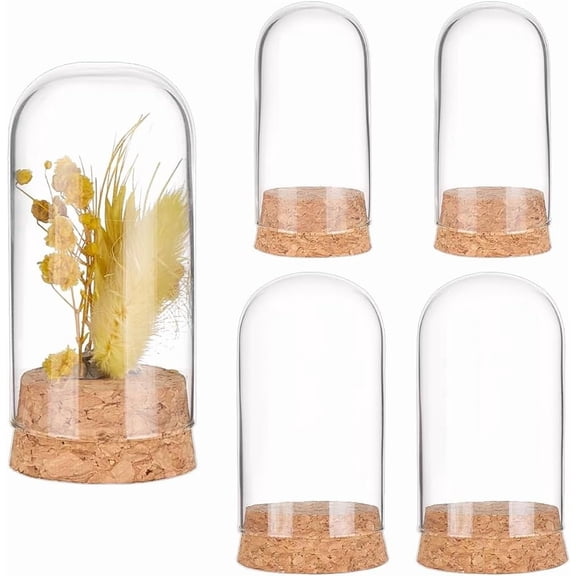 4pcs Glass Display Dome 2 Sizes Clear Cloche Bell Jar with Cork Base Small Glass Bottles Dome Decoration Jars Display Case for Flower Plants Storage Home Christmas Party Favor Decor diy