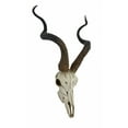 thumbnail image 2 of Veronese Design African Kudu Antelope Skull Wall Hanging Cool Twisted Horns, 2 of 5