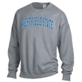 thumbnail image 2 of Men's ComfortWash Gray Westfield State Owls Garment Dyed Pullover Sweatshirt, 2 of 3