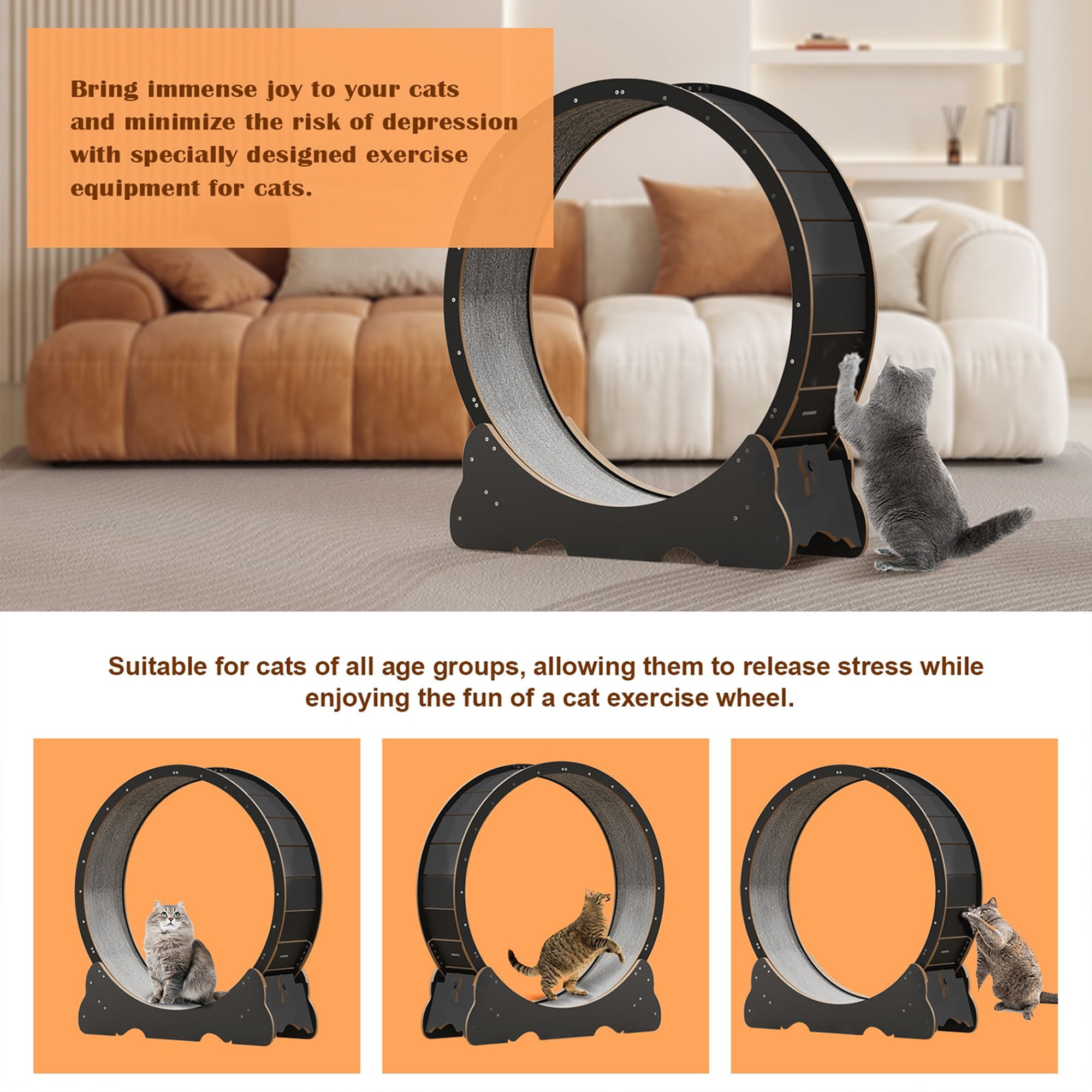 Kadyn 45" Cat Exercise Wheel for Indoor Cats, Large Cat Running Wheels, Cat Treadmill Wheel with Locking Mechanism for Cat's Healthy, Black Kadyn 45" Cat Exercise Wheel for Indoor Cats, Large Cat Running Wheels, Cat Treadmill Wheel with Locking Mechanism for Cat's Healthy, Black