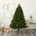 thumbnail image 5 of Nearly Natural 7' Oregon Spruce Christmas Tree with 850 LED Lights and 1796 Branches - Green, 5 of 10