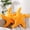 Orange, variant on Starfish Pillow Beach Starfish Shaped Throw Pillows 20'' Stuffed Cute Plush Coastal Decor Pillow Plush Cushion for Bedroom Living Room Sofa Couch(White,2 Pcs)