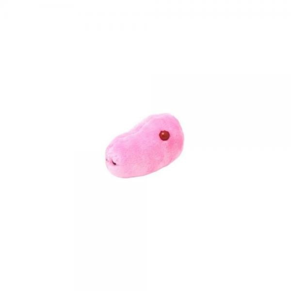 Giant Microbes Swine Flu (Influenza A virus H1N1) - Walmart.com - Walmart.com