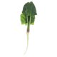 thumbnail image 5 of Nestingho Espinaca Falsa Decorativa Simulada Para De Interiores Con Aspecto Natural, 5 of 8
