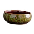 thumbnail image 3 of Plantador de lotos de recipiente hidropónico, esmaltada, jarrón decorativo multifuncional, maceta de cerámica de cerámica para plantas de interior cambió de verde, 3 of 8