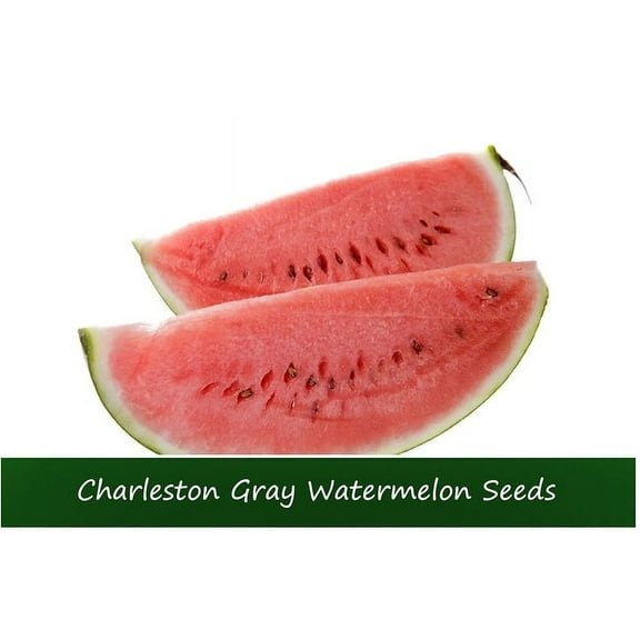 Vegetable Seeds-Charleston Gray Watermelon- 20 Seeds! Heirloom - All Natural- Up to 25 lb fruit!