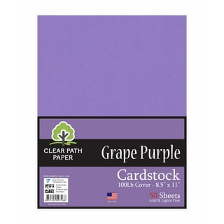 Grapesicle Light Purple Cardstock Paper - 12 x 12 inch 100 lb. Heavyweight Cover - 25 Sheets from Cardstock Warehouse