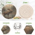 thumbnail image 4 of Haosy Set of 6 Drink Woven Coaster with Holder Heat Resistant Non-Slip Bar Coasters 4 Inches Elk at Water Edge in Forest, 4 of 7