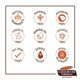 thumbnail image 2 of Cocoa Butter Palmers Palmers Cocoa Butter Skin Therapy Oil Aceite Unisex 2 oz, 2 of 6
