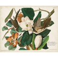 thumbnail image 3 of Audubon, John James 18x15 Black Modern Framed Museum Art Print Titled - Pl 32 Black-billed Cuckoo, 3 of 5