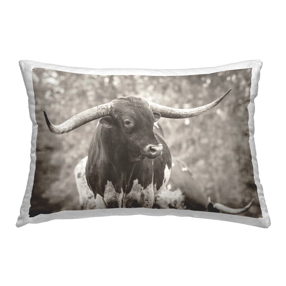 Stupell Industries Longhorn's Gaze Photography Decorative Printed Throw Pillow Design by Nathan Larson.