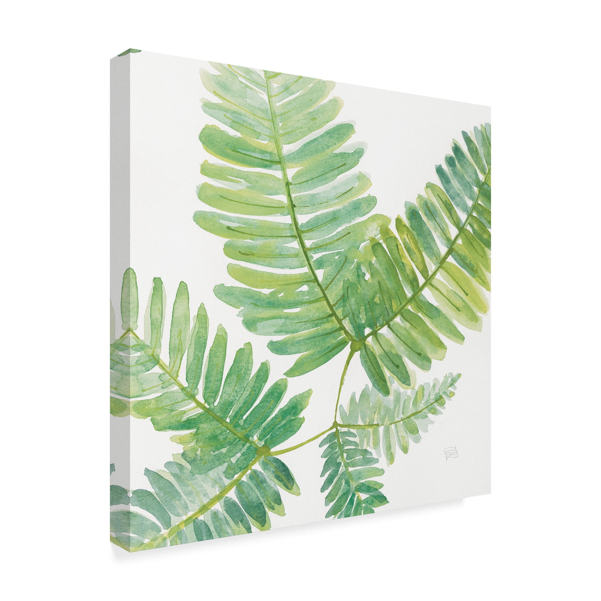 Trademark Fine Art 'Ferns Square II' Canvas Art by Chris Paschke