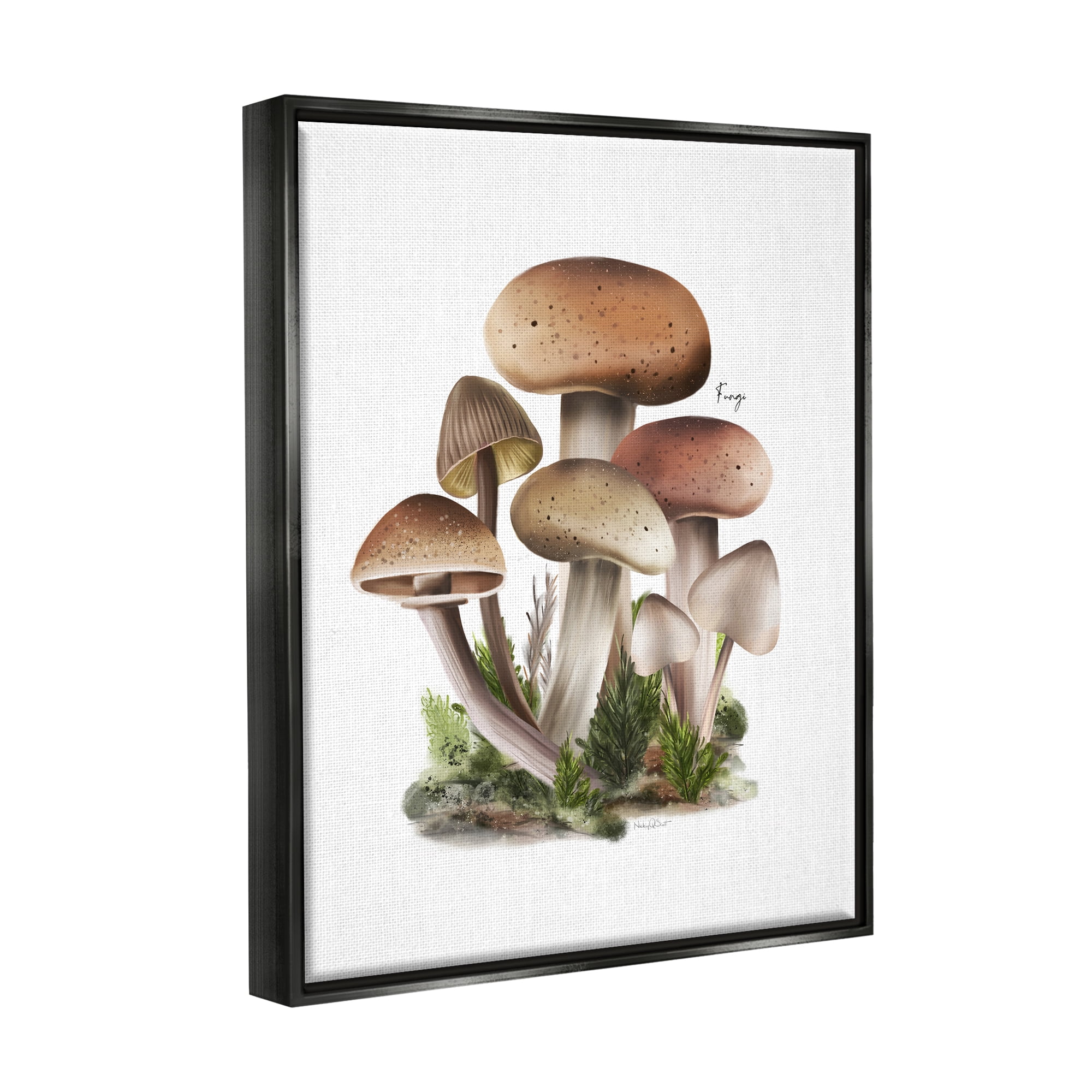 Stupell Industries Mushrooms on White Botanical & Floral Painting Black Floater Framed Canvas Art Print Wall Art, 17 x 21