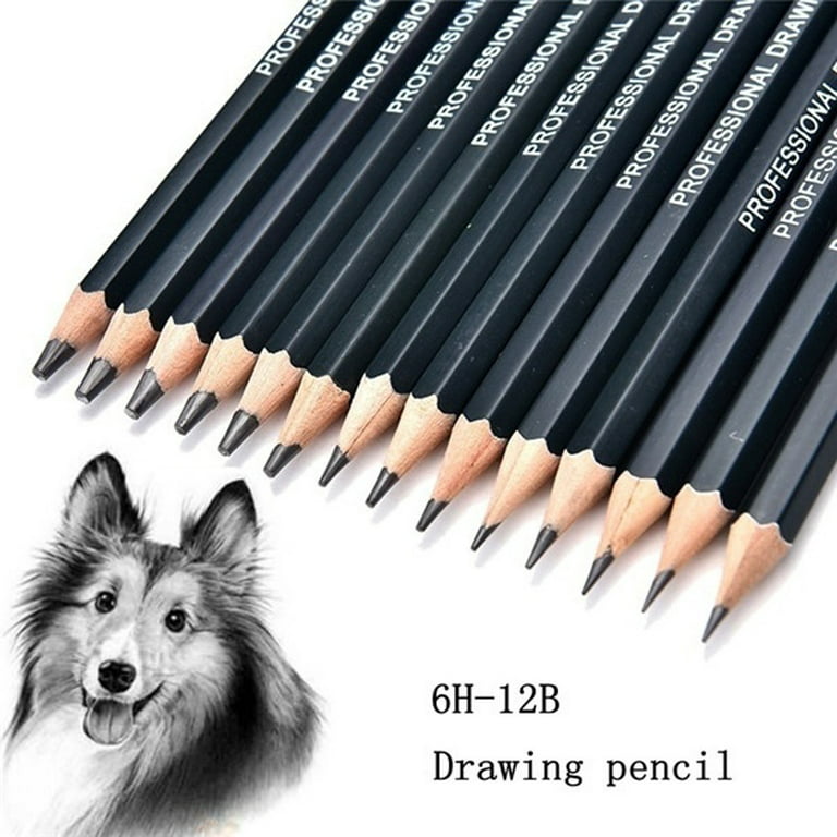 EQWLJWE Sketch Pencils for Drawing, 14 Pack, Drawing Pencils, Art Pencils,  Graphite Pencils, Graphite Pencils for Drawing, Art Pencils for Drawing and