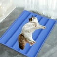 thumbnail image 6 of Vacemry Under $5 Pet Cooling Mat, Gel-Filled Ice Cushion for Dogs Cats Summer Comfort, Waterproof Pet Bed Pad for Hot Weather, Thickened Pressure Relief Pad for Kennel Crate, 6 of 6