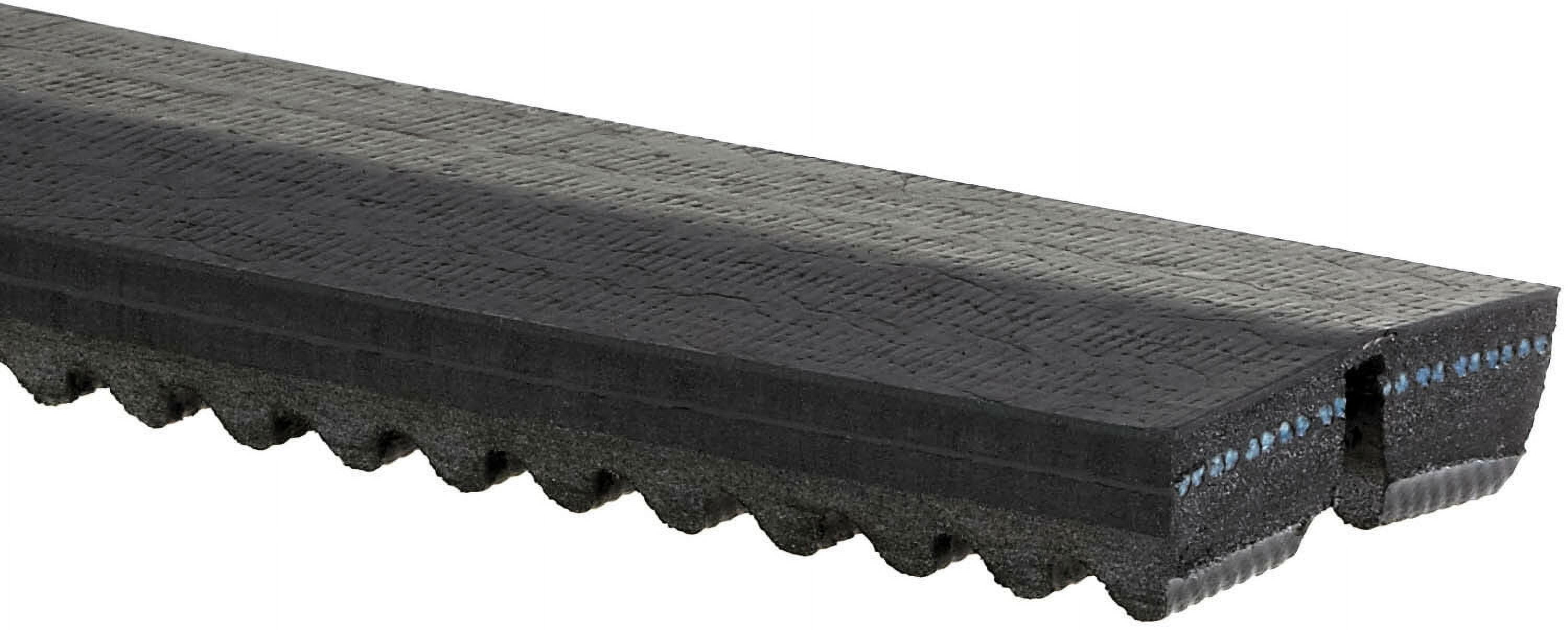 Accessory Drive Belt