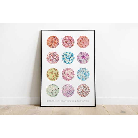 Microbiology Art Print, Vintage Bacteria Collection Poster, Educational Science Wall Decor, Laboratory Wall Decor