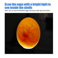 thumbnail image 3 of Egg Incubator Tester, Lamp 9 Light Bright Cold  Candling Torch Candling Poultry AccessoryBlack, 3 of 8