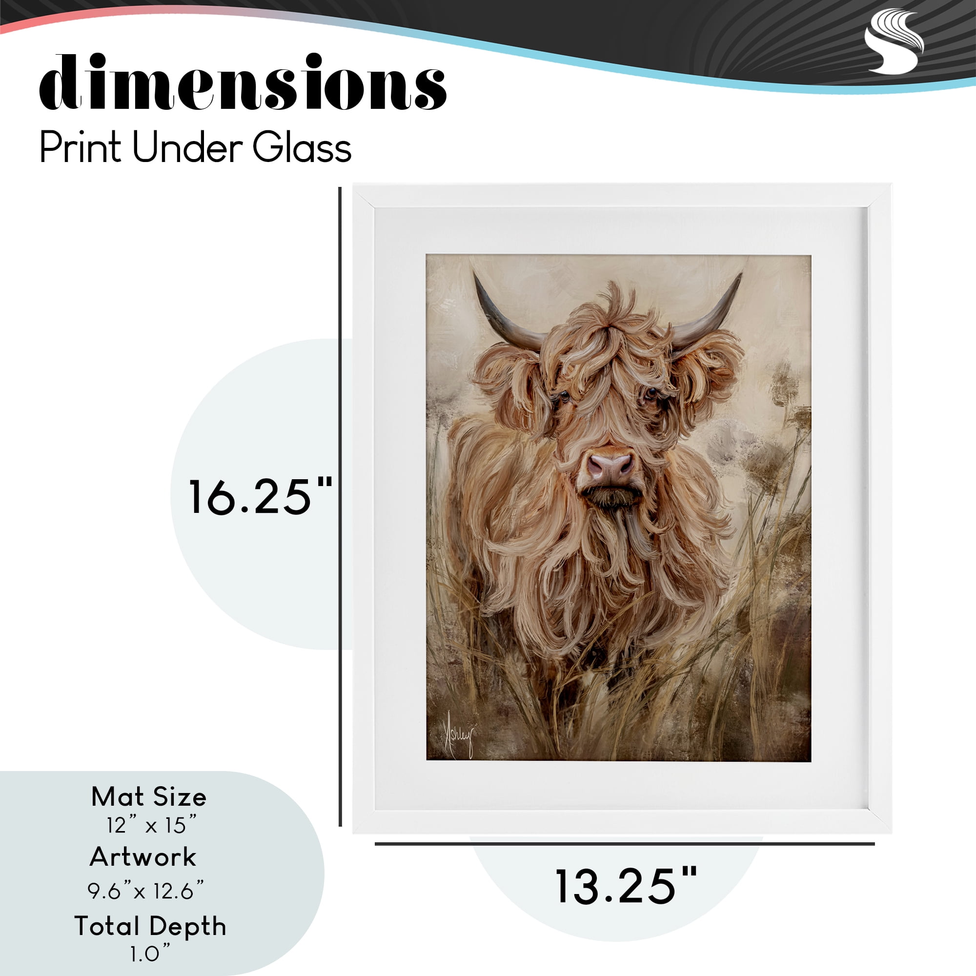 Curly Haired Highland Cattle White Framed Print Under Glass, design by Ashley Bradley