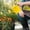 A, variant on Metal Watering Can For Outdoor Plants, Galvanized Steel Watering Can With Removable Spout, Perfect Home & Garden Décor Yellow 12*12*11Cm Home Decor