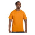 thumbnail image 1 of Hanes Tagless Short Sleeve T-Shirt, Style 5250, 1 of 1