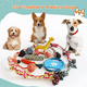 thumbnail image 3 of Juguetes Para Masticar Cachorros 10 Unidades Colores, 3 of 5