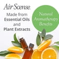 thumbnail image 2 of Ambientador Air Scense, desodorizante para habitación, naranja natural, 2 of 6