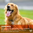thumbnail image 3 of Probióticos para perros Hyland's Naturals Total Gut Health 90 Chews, 3 of 8