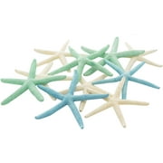 Starfish | 10 White Blue Green Finger Starfish 2"-4" | Home Decor Art & Crafts