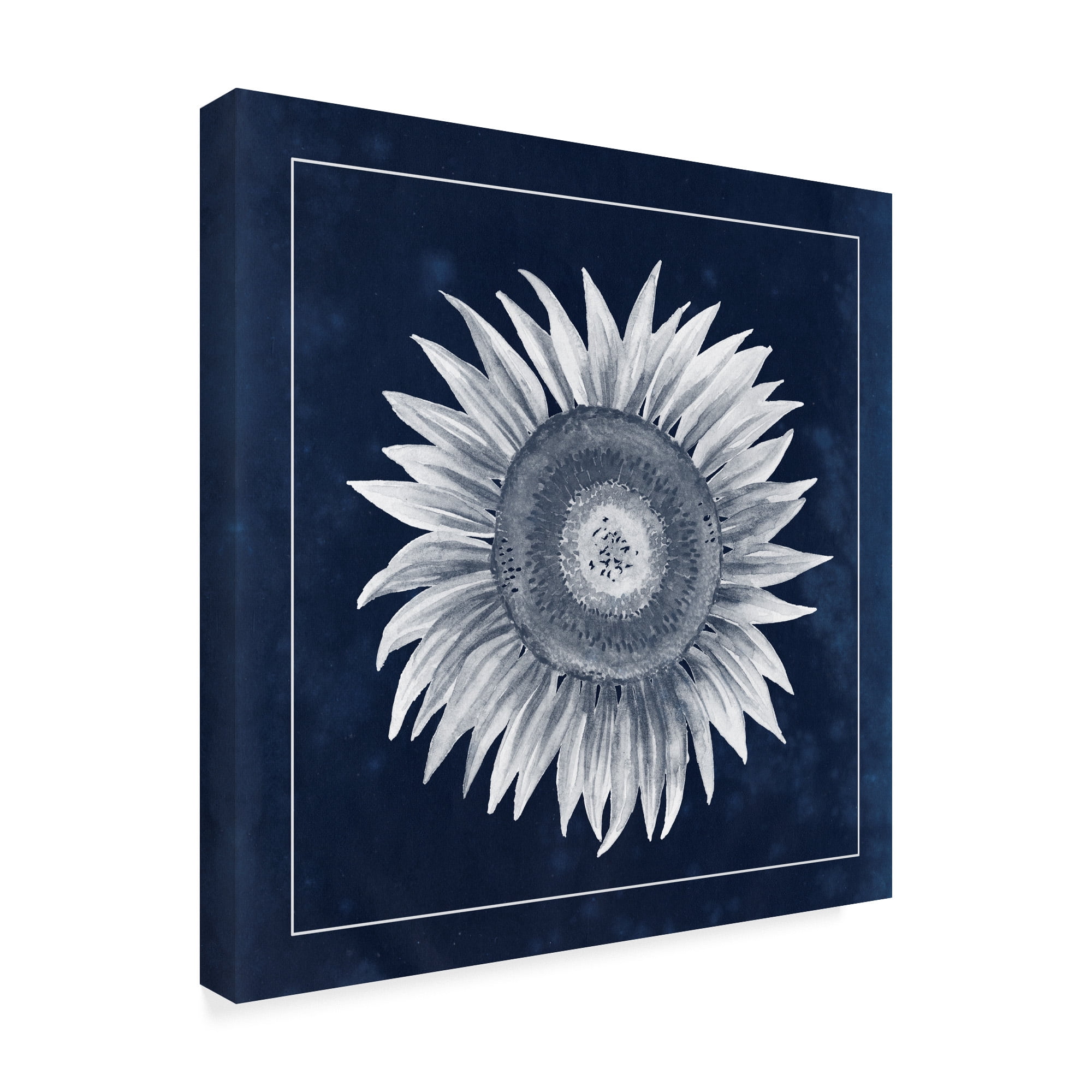 Trademark Fine Art 'Moon Flower I' Canvas Art by Grace Popp
