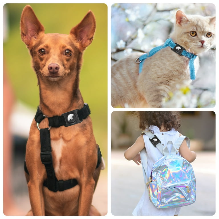 Cats and Dogs TPU Coated Mini Tote Cats and Dogs TPU Coated Mini Tote
