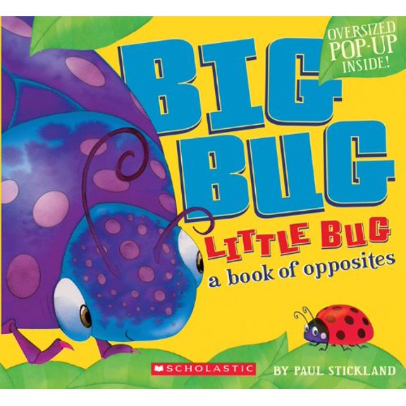 Pre-Owned Big Bug, Little Bug Paperback