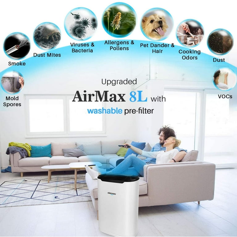 Duo air purifier deals