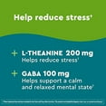 thumbnail image 3 of Nature Made Wellblends Stress Relief Gummies, L theanine 200mg to Help Reduce Stress, with GABA 100mg, Same Day Stress Support, 40 Strawberry Flavor Gummies, 3 of 3