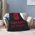 thumbnail image 7 of Hamline University Ultra-Soft Micro Fleece Blanket Multi-Size Flannel Blanket, 7 of 7