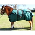 thumbnail image 3 of 42" Canvas Duck Turnout Water Resistant Foal Winter Blanket  51701, 3 of 3