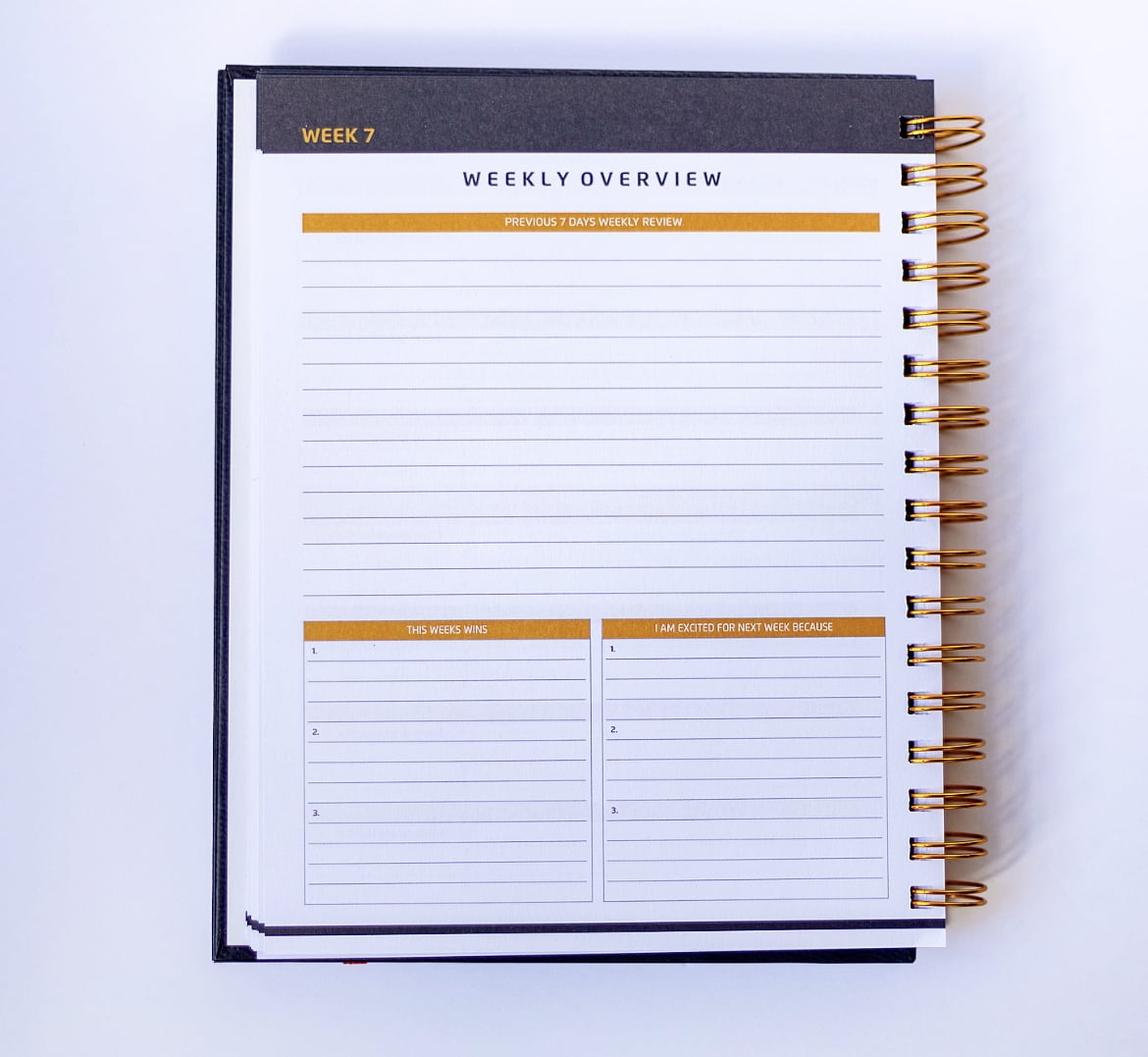 The Entrepreneur Championship Planner, Undated entrepreneur planner, Business & Lifestyle Planner 2024, Monthly & Weekly Diary, Notebook for Makers and Entrepreneurs, Business Planner