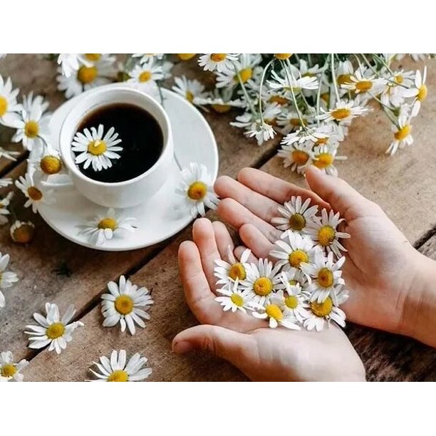 5D Diamond Painting Garden Kitchen Tea Set Flowers Diamond Embroidery Cross Stitch Kits Mosaic Drill Landscape Home Decor GiftsRound 20X30 Gao Jinjia LED