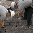 thumbnail image 4 of Alicates para herreros Klein Tools D213-9ST de alto apalancamiento, 4 of 8