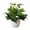 Green, variant on kjfeif Plants Potted Artificial Plants In Pot Green Bonsai with White Round Pot for Home Office Kitchen Table Desk Room Centerpiece Shelf Indoor DÃ©cor