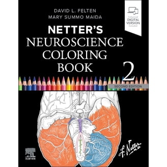 Netter's Anatomy Coloring Book - Walmart.com