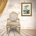 thumbnail image 3 of Stellar Design Studio 13x18 Gold Ornate Wood Framed with Double Matting Museum Art Print Titled - The Grand Pelican, 3 of 4