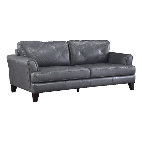 Lexicon Thierry 19" Modern Plywood and Leather Sofa in Gray Finish
