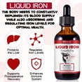 thumbnail image 3 of Liquid Iron Supplements for Dogs - with Folate and B12 – Supplements Anemia, Promotes Blood Health, Oxygen Supply and Blood Cell Formation – Increase Low Energy Levels – Lethargy - 2 oz, 3 of 9