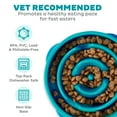 thumbnail image 4 of Outward Hound Slow Fun Feeder Bowl, Slow Feeder Dog Bowl, Turquoise, Medium/Small, 4 of 8