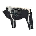 thumbnail image 3 of Disfraz de perro esqueleto de Halloween Fernando ropa de disfraz mascota 2XL, 3 of 8