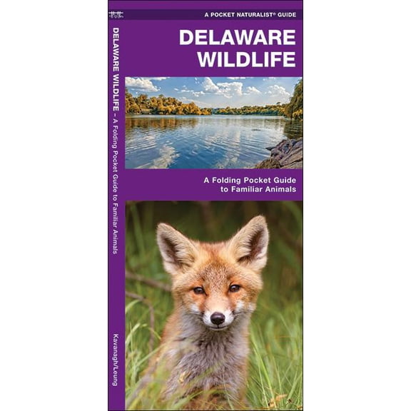 Delaware Wildlife: An Introduction to Familiar Species